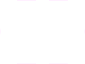 Logo AIDA White